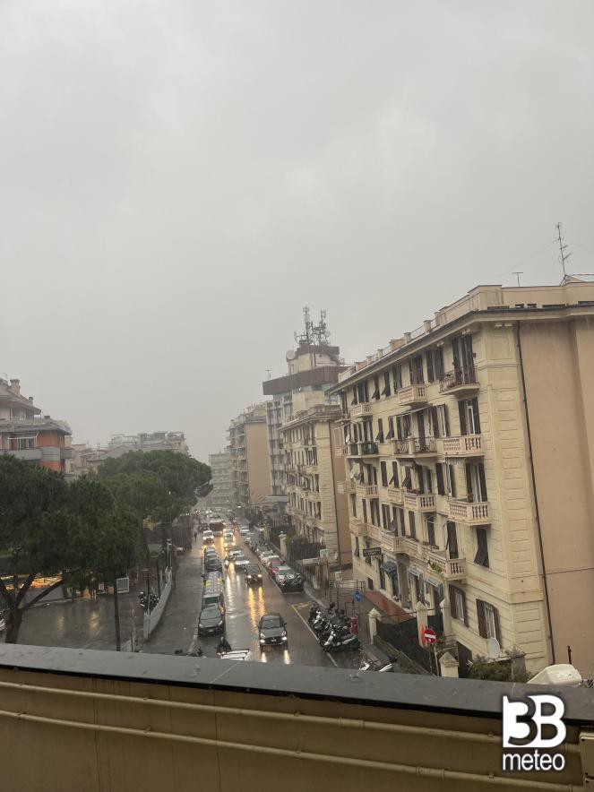 pioggia live