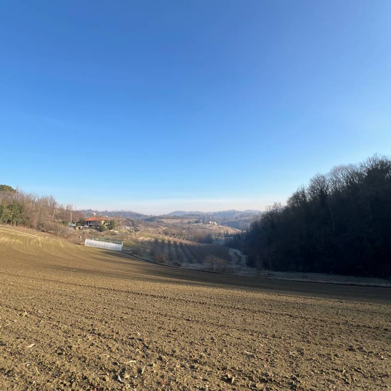 Fotosegnalazione di Pavarolo