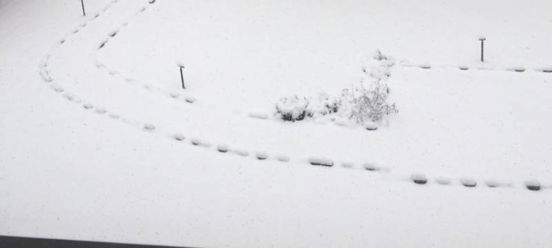 12cm di neve il 13 dicembre ad appiano gentile