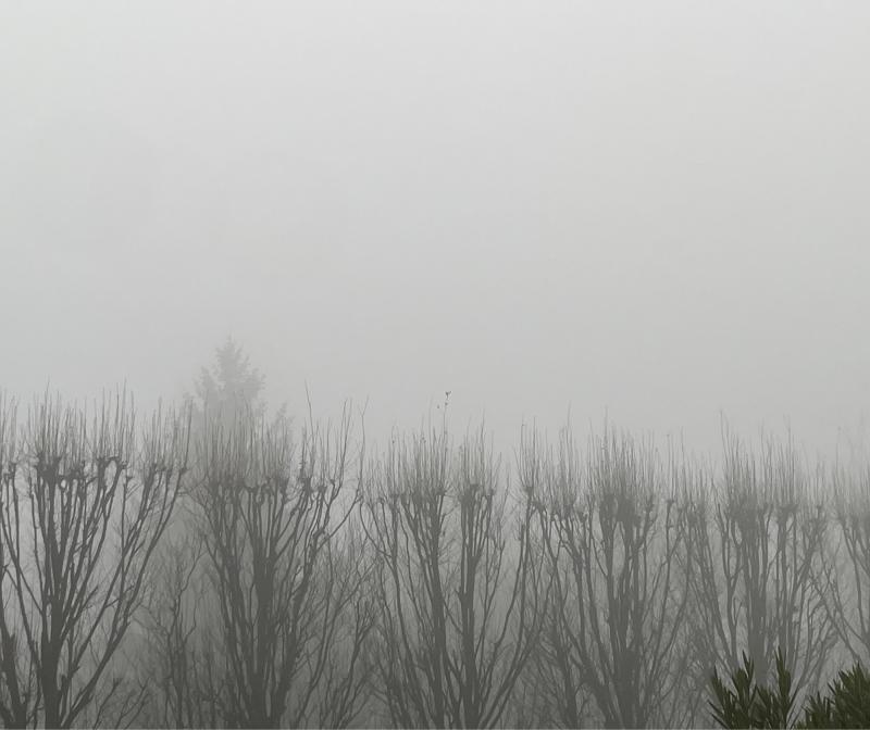 Santorso 1 marzo 2025 gradi 9 nebbia fitta
