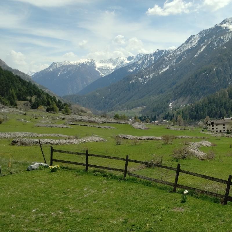 Fotosegnalazione di Argentera