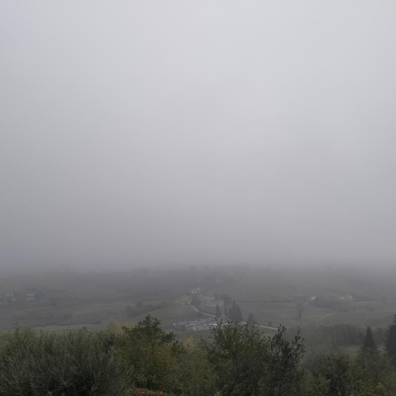 Fotosegnalazione di San marzano oliveto