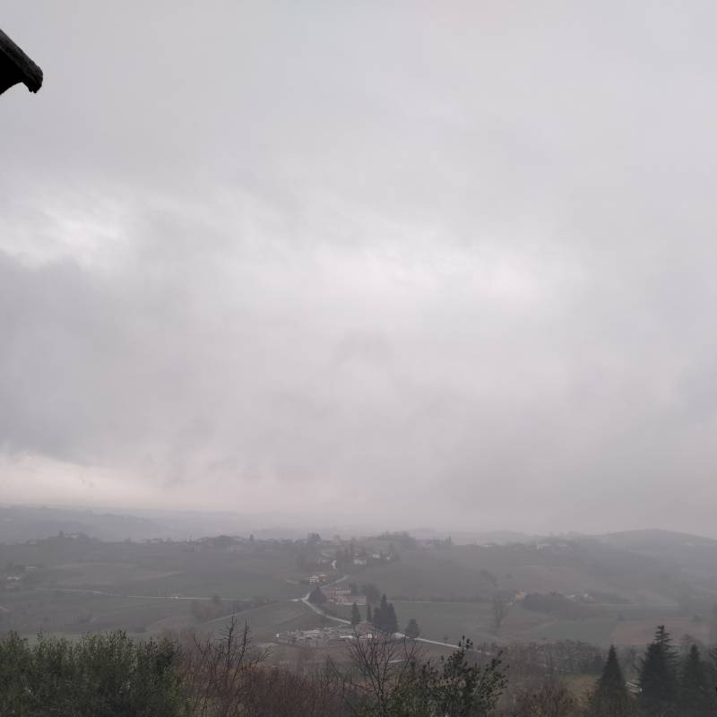 Fotosegnalazione di San marzano oliveto