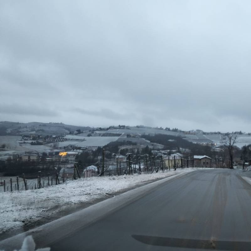 Fotosegnalazione di San marzano oliveto