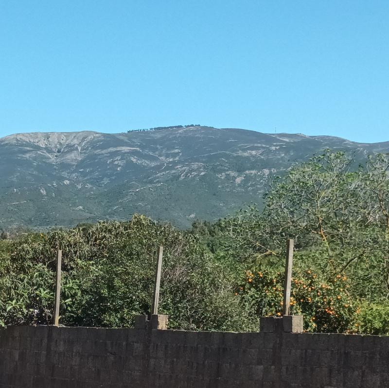 Fotosegnalazione di Dolianova
