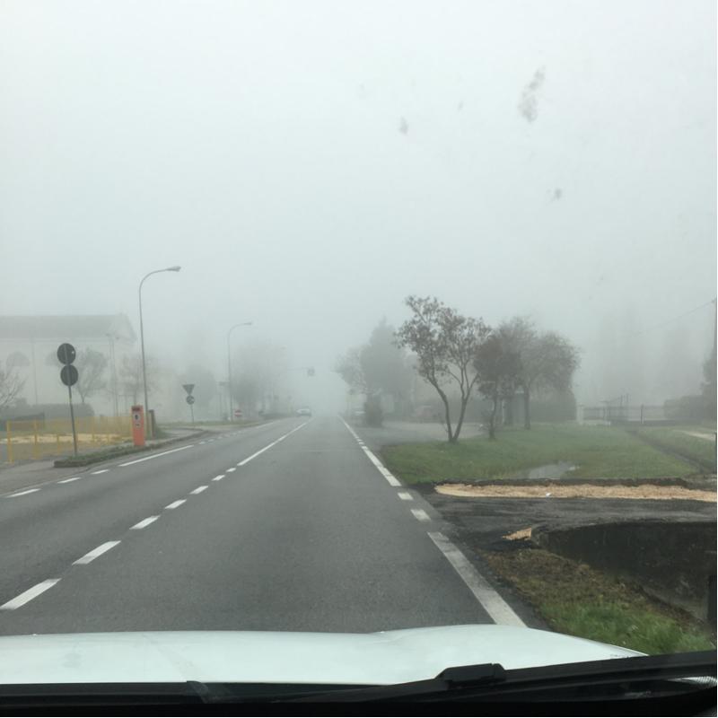 Fotosegnalazione di San dona' di piave