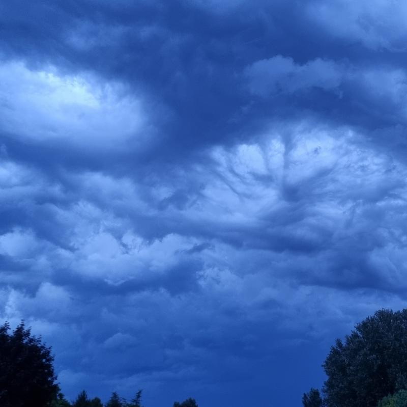 Fotosegnalazione di Noventa padovana