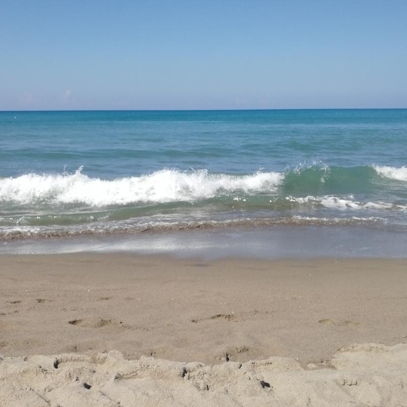 Fotosegnalazione di Capaccio