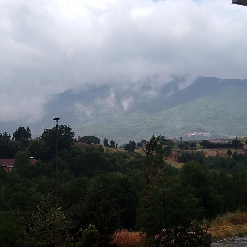 Fotosegnalazione di Montalto uffugo