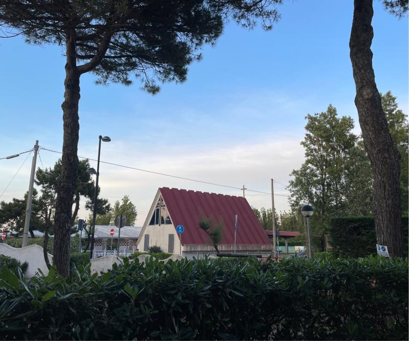 Fotosegnalazione di Rosolina mare