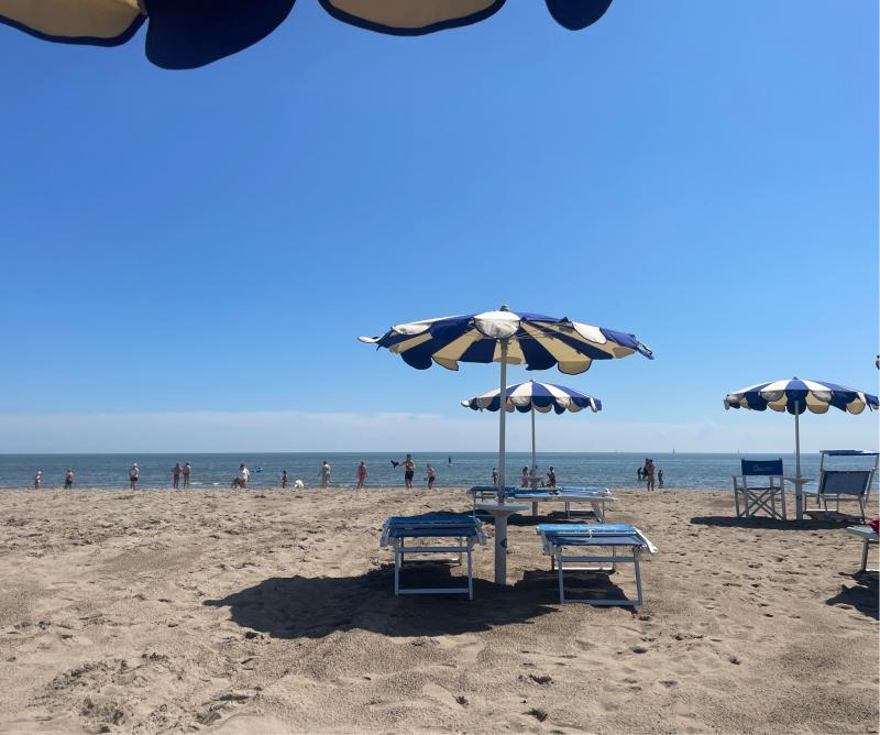 Fotosegnalazione di Rosolina mare