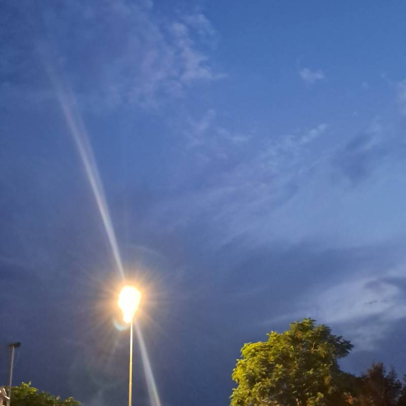 Fotosegnalazione di Bellaria igea marina