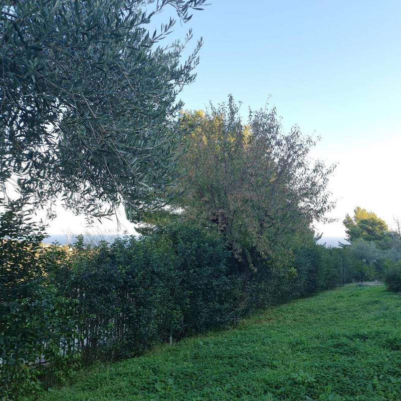Fotosegnalazione di Trabia