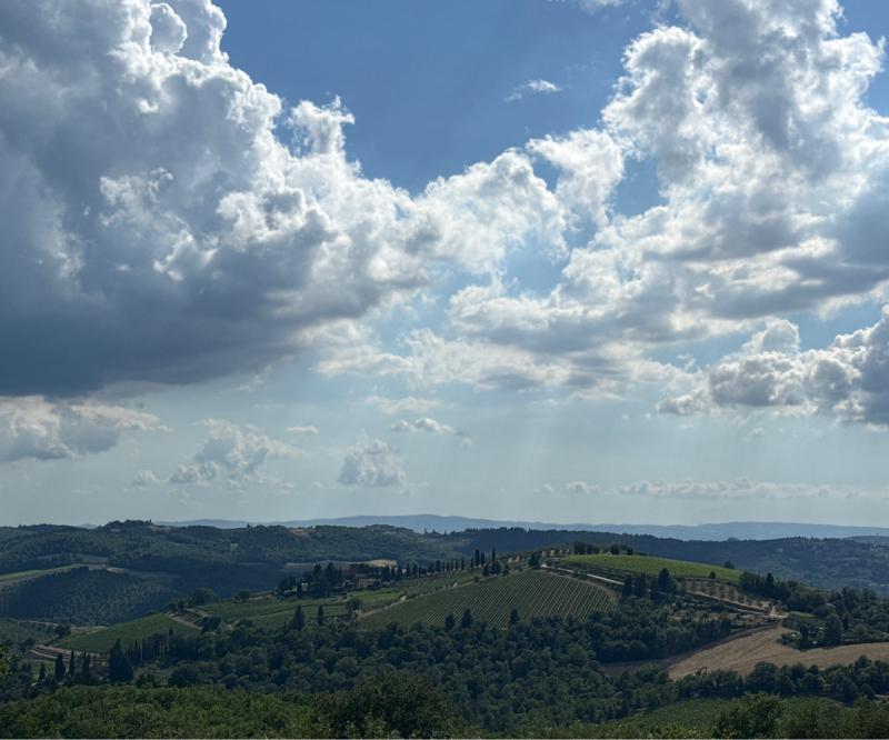 Fotosegnalazione di Greve in chianti