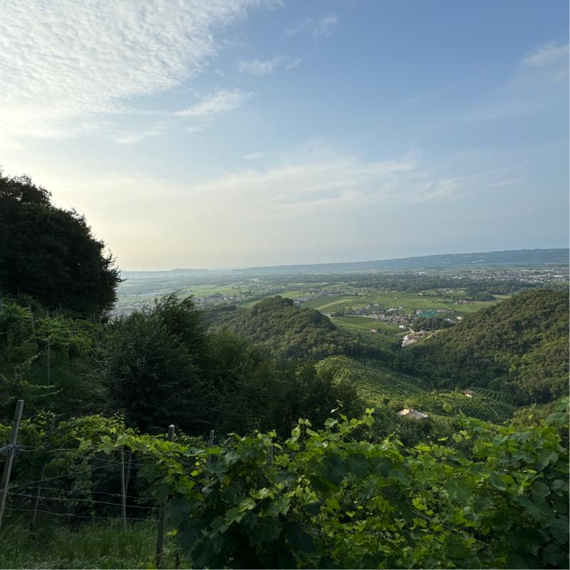 Fotosegnalazione di Farra di soligo