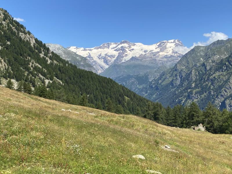 monte rosa da sentiero 3 localita' areso