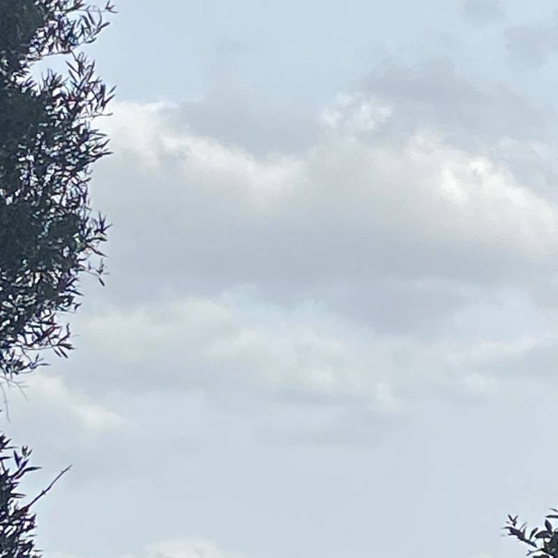 Fotosegnalazione di Marano marchesato