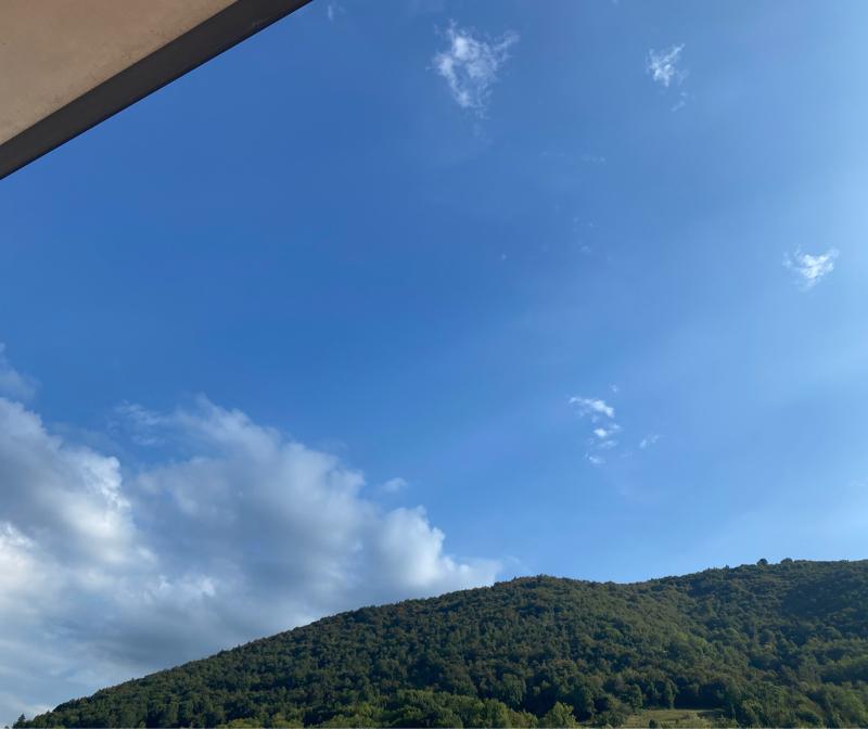 Fotosegnalazione di Albino