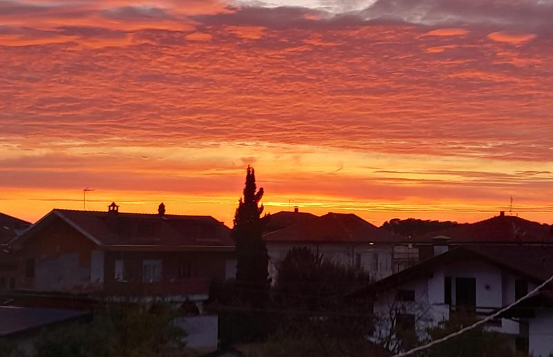 alba incantata