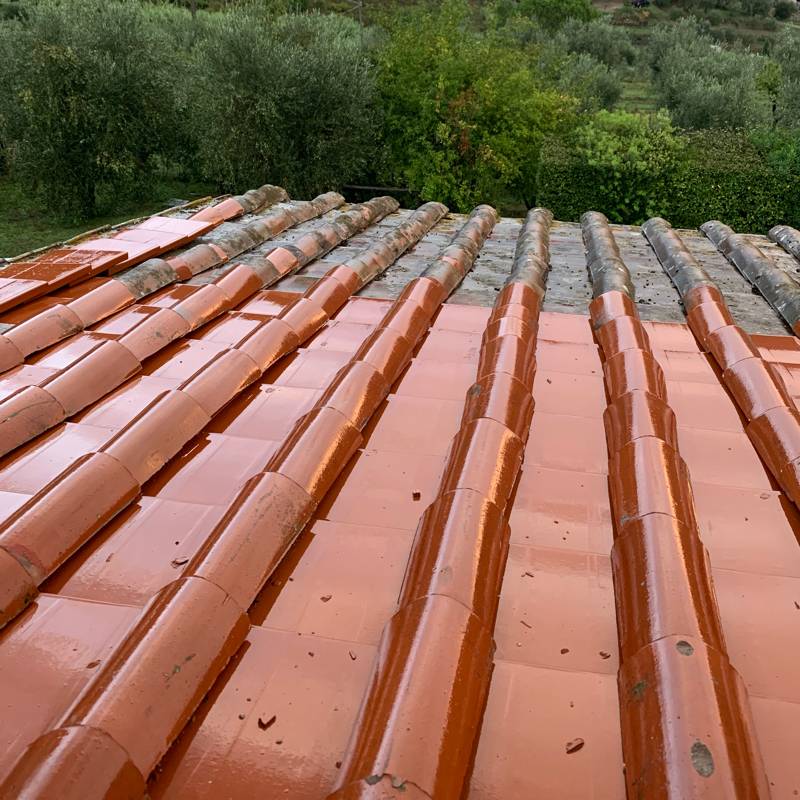 Fotosegnalazione di Carmignano