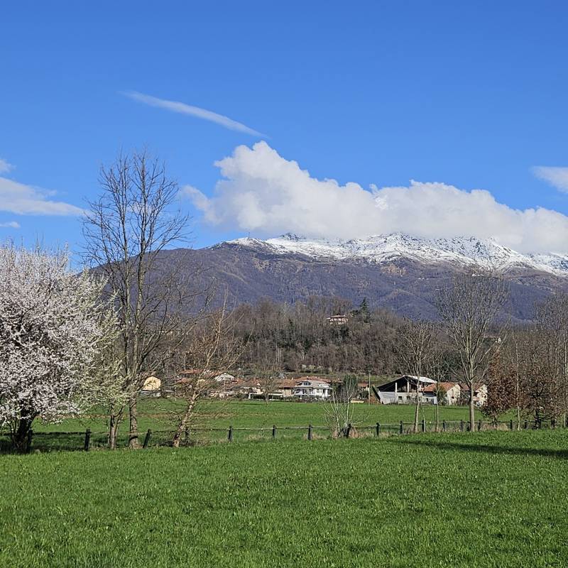 Fotosegnalazione di Castellamonte
