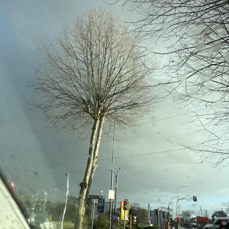 Fotosegnalazione di Castelnuovo magra