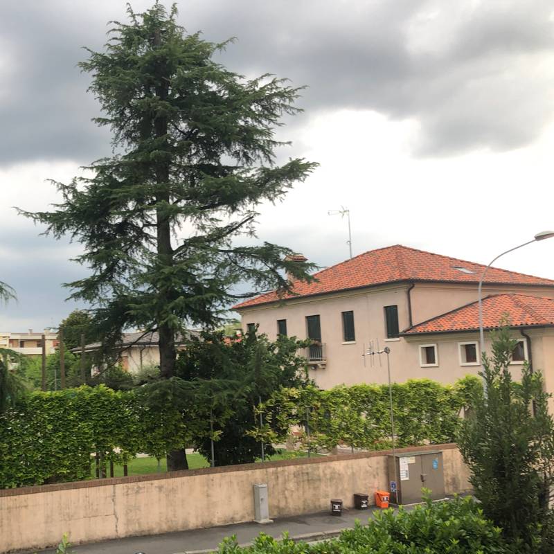 Fotosegnalazione di Robegano