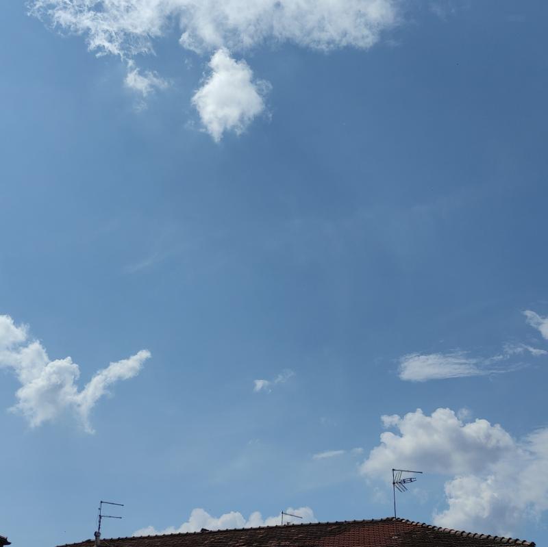 Fotosegnalazione di Pontecorvo