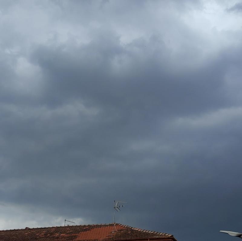 Fotosegnalazione di Pontecorvo