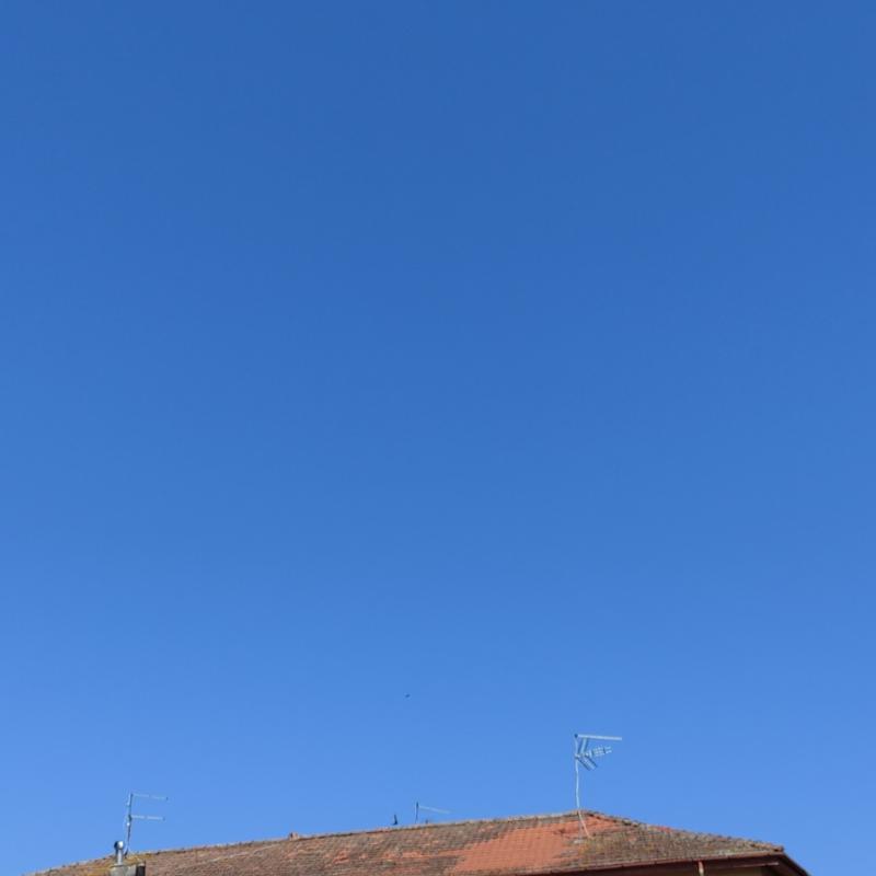 Fotosegnalazione di Pontecorvo