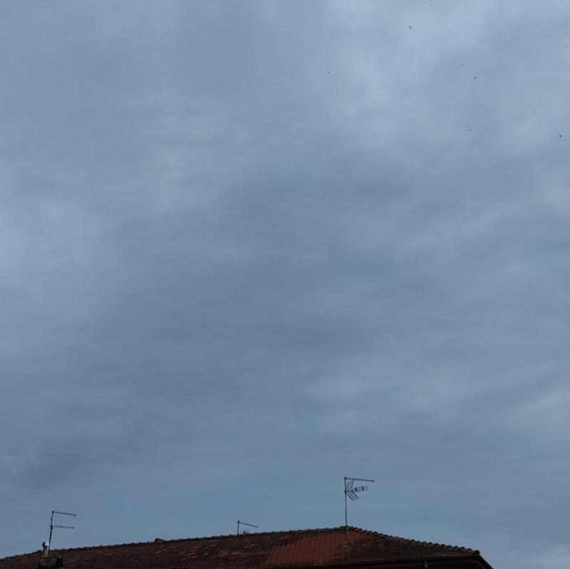 Fotosegnalazione di Pontecorvo