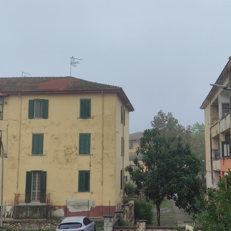Fotosegnalazione di Pontecorvo