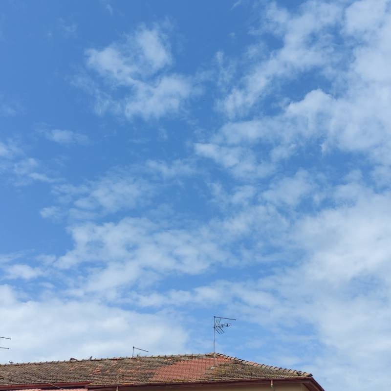 Fotosegnalazione di Pontecorvo