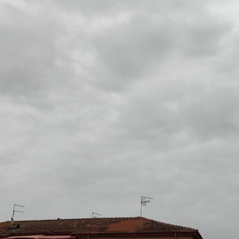 Fotosegnalazione di Pontecorvo