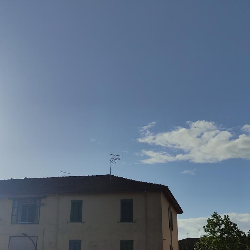 Fotosegnalazione di Pontecorvo