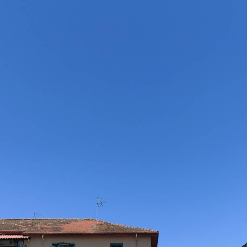 Fotosegnalazione di Pontecorvo