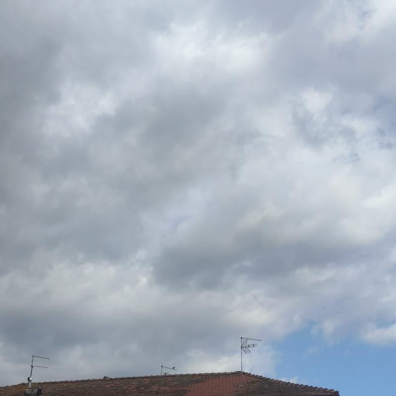 Fotosegnalazione di Pontecorvo