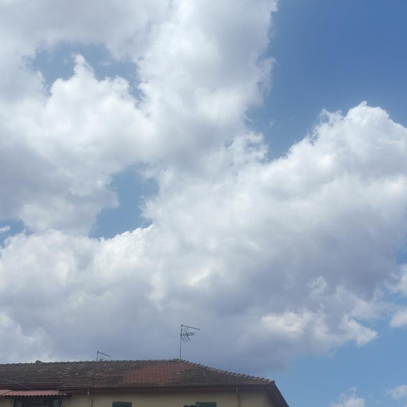 Fotosegnalazione di Pontecorvo