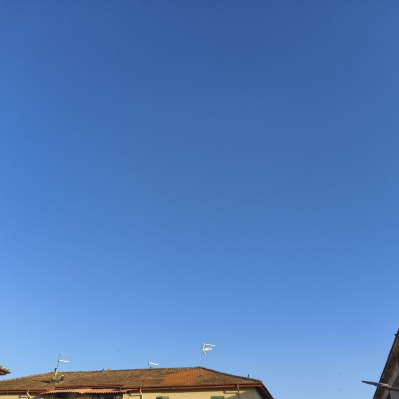 Fotosegnalazione di Pontecorvo