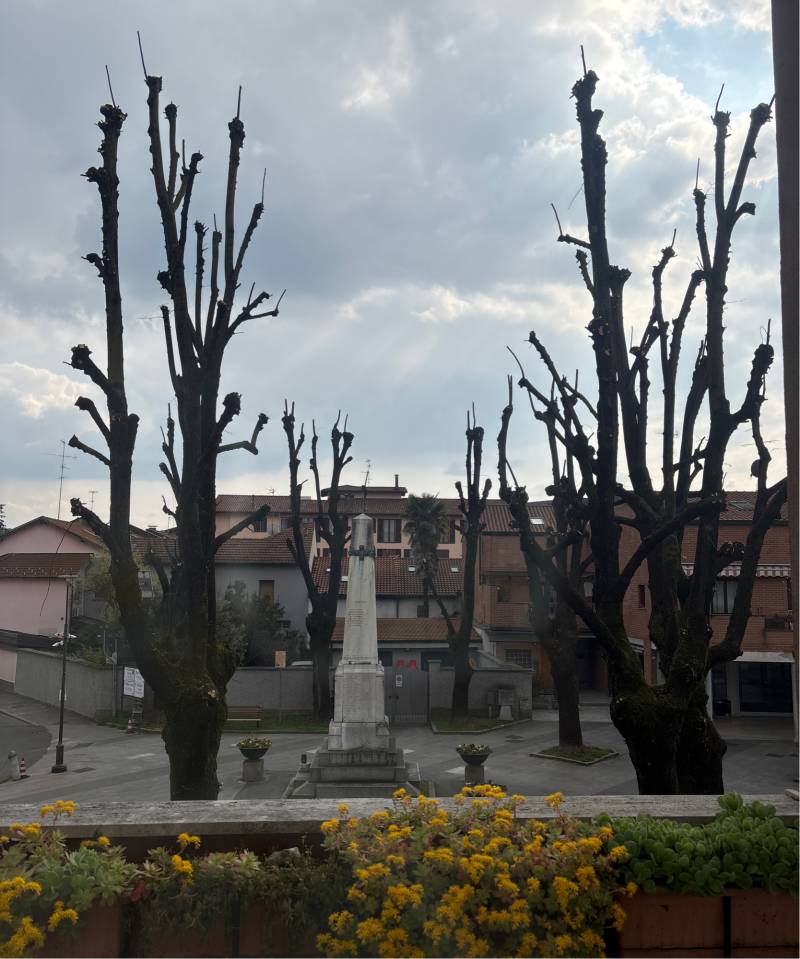 Fotosegnalazione di Garbagnate milanese