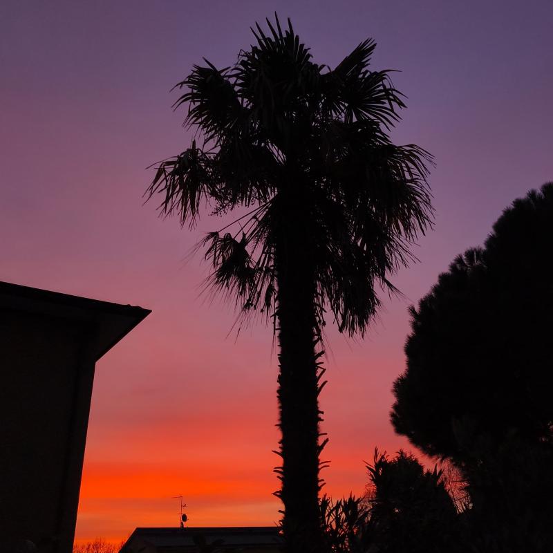 Alba a Vittuone