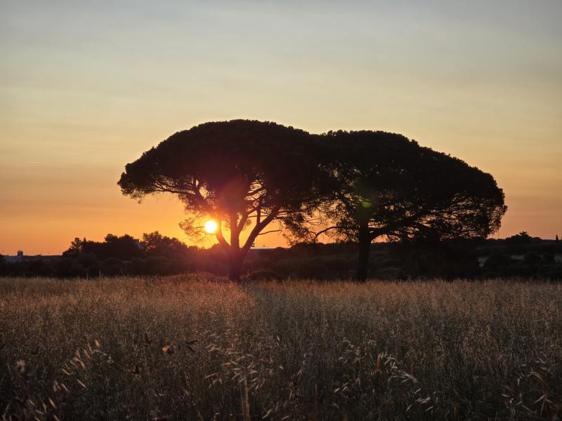 19maggio2025