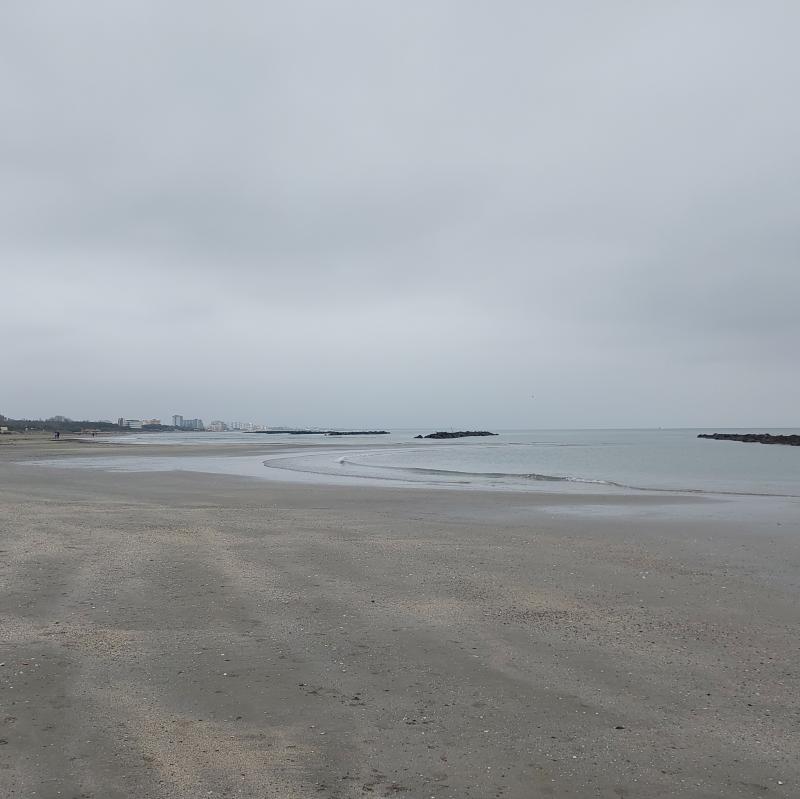 Fotosegnalazione di Porto garibaldi