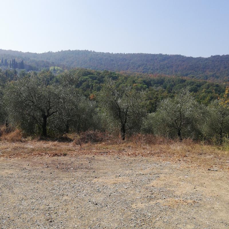 Colline Scandicci