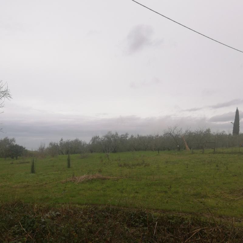 Colline Scandicci