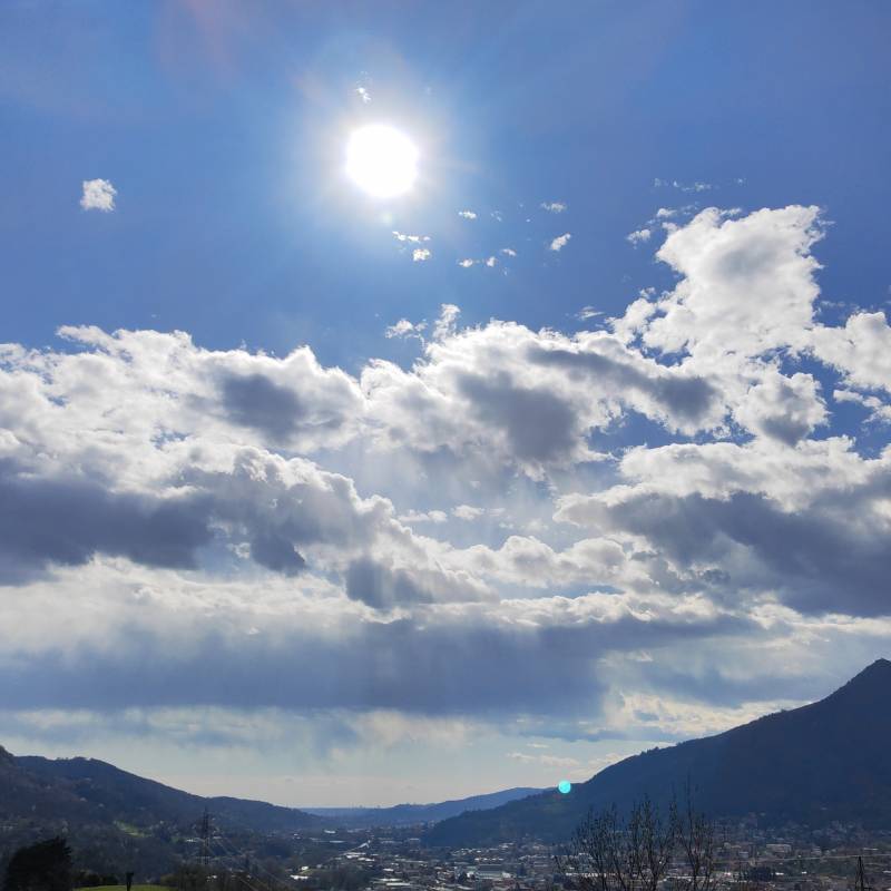 Fotosegnalazione di Albino