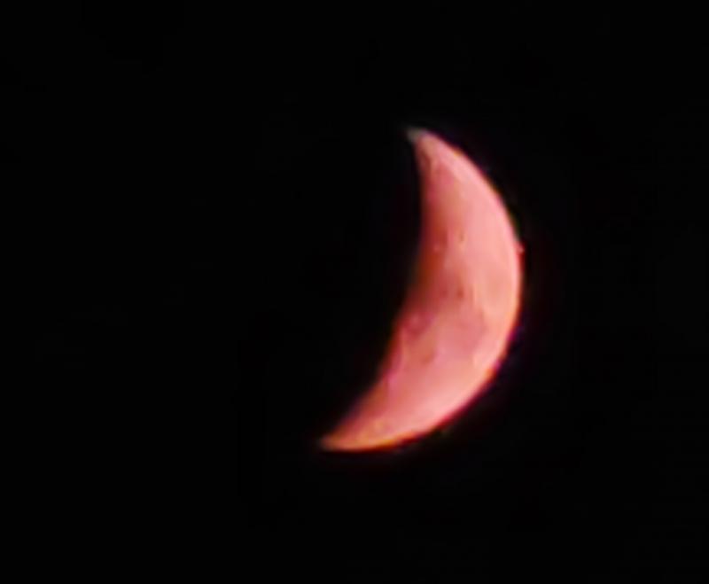 luna rossa 10 agosto 2024