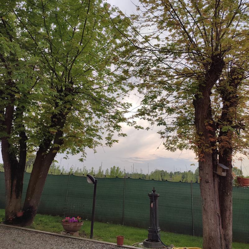 Tramonto pallido