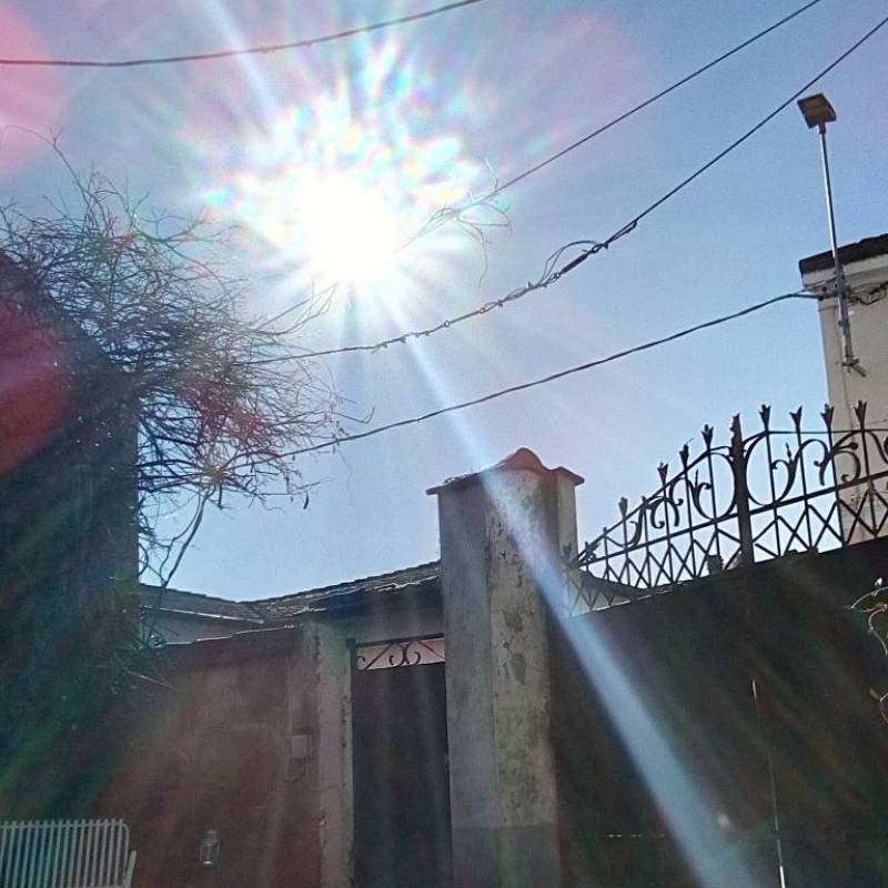 Fotosegnalazione di Langosco