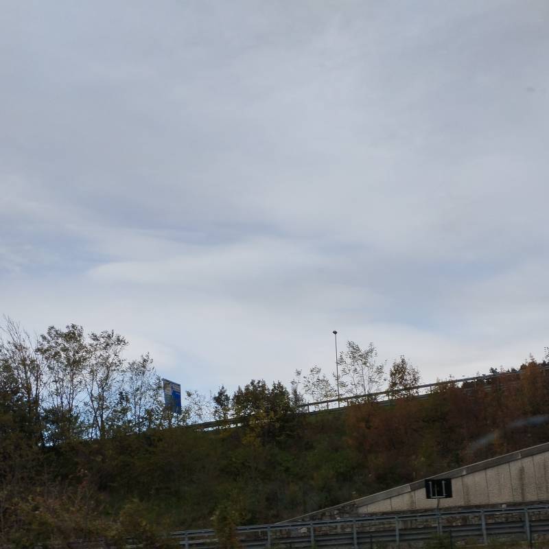 Fotosegnalazione di Trieste periferia est
